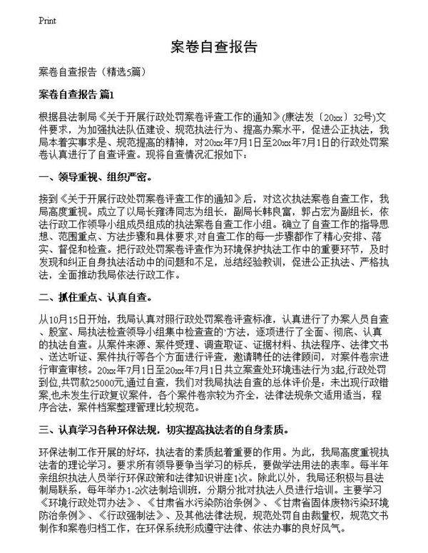 案卷自查报告