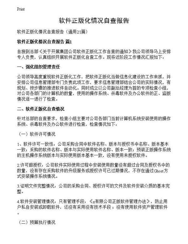 软件正版化情况自查报告