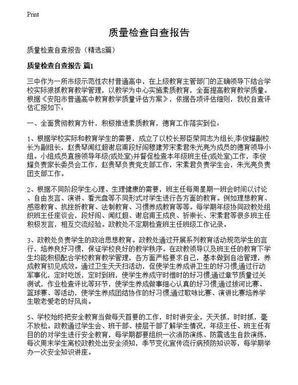 质量检查自查报告