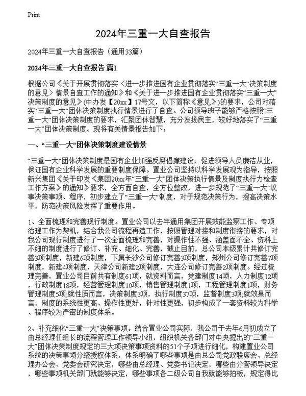 2024年三重一大自查报告