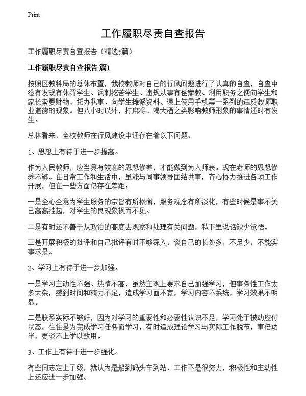 工作履职尽责自查报告