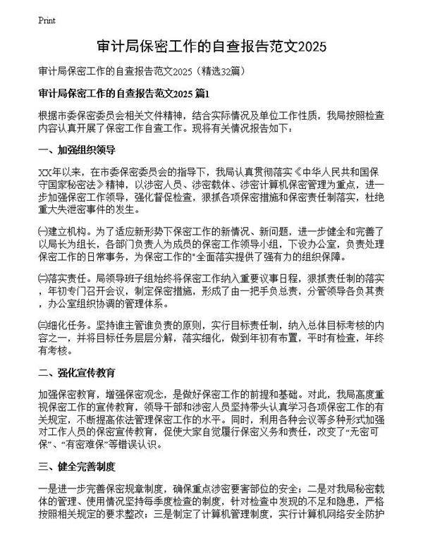 审计局保密工作的自查报告范文2025