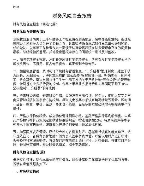 财务风险自查报告