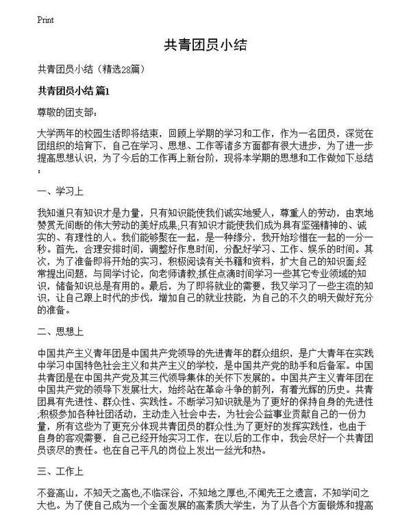 共青团员小结