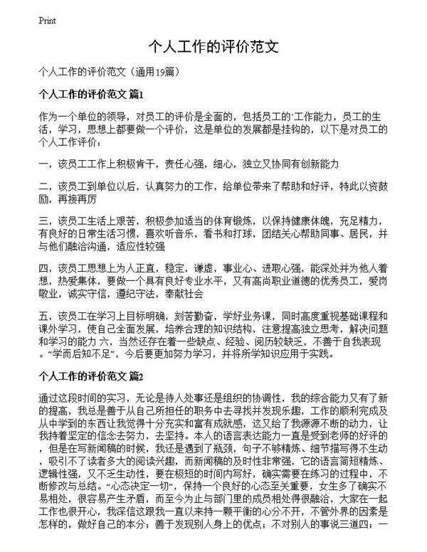 个人工作的评价范文