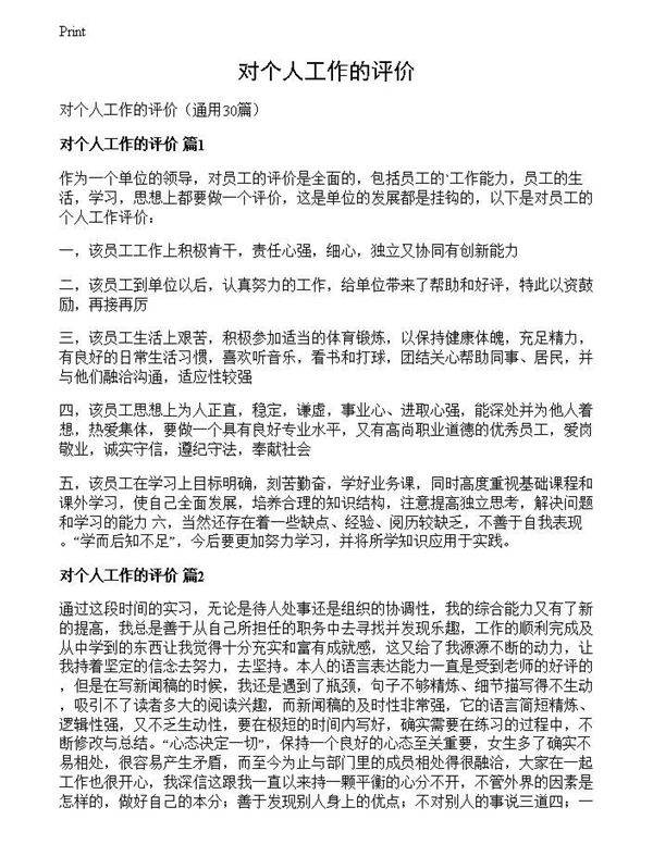 对个人工作的评价