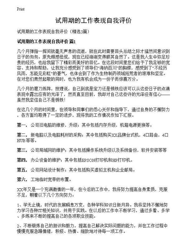 试用期的工作表现自我评价
