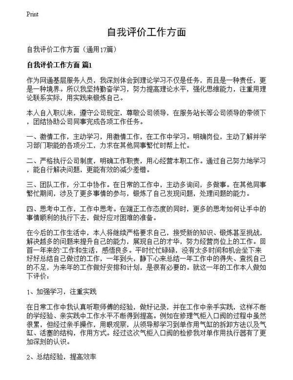 自我评价工作方面
