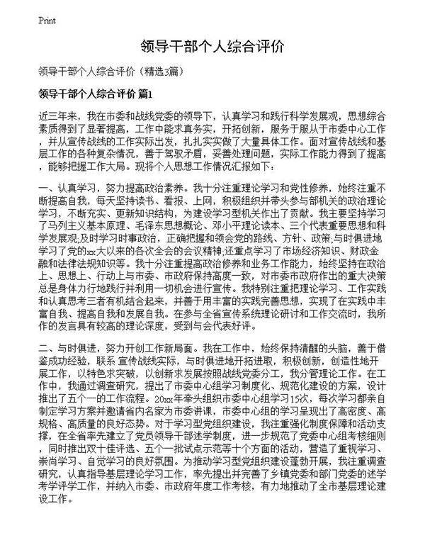 领导干部个人综合评价