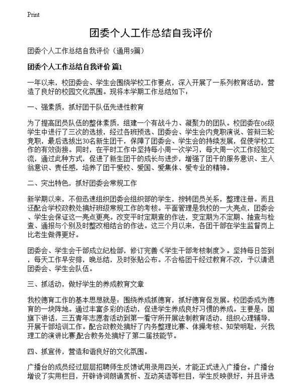 团委个人工作总结自我评价