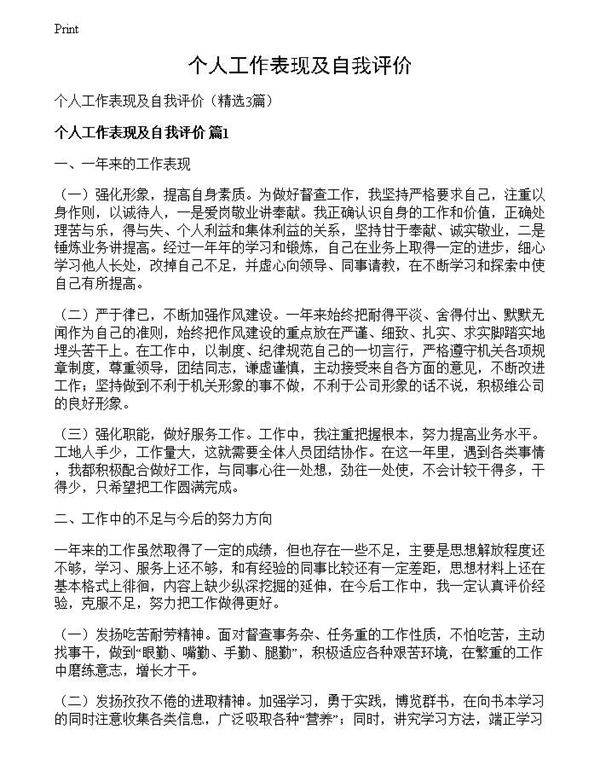 个人工作表现及自我评价