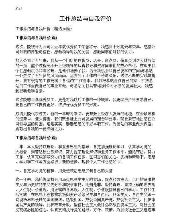 工作总结与自我评价