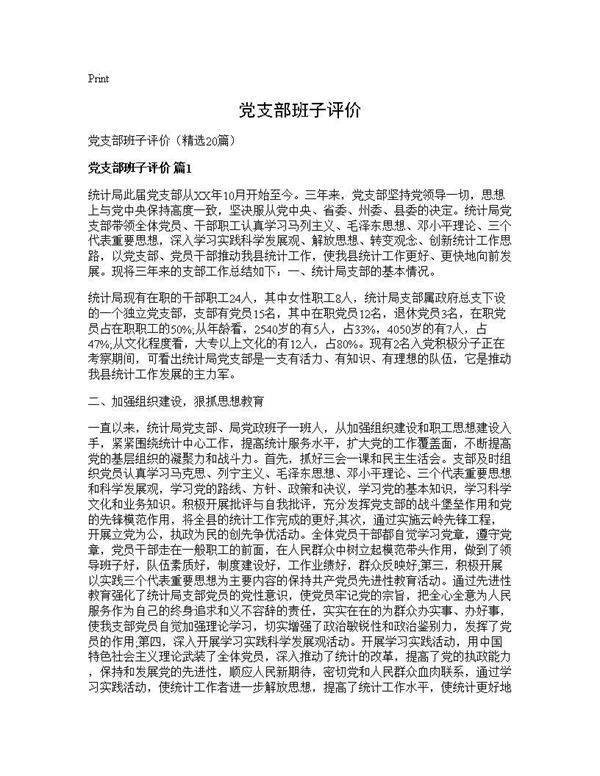 党支部班子评价20篇