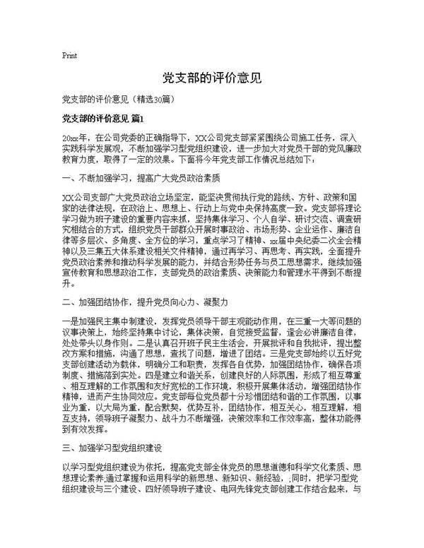党支部的评价意见30篇