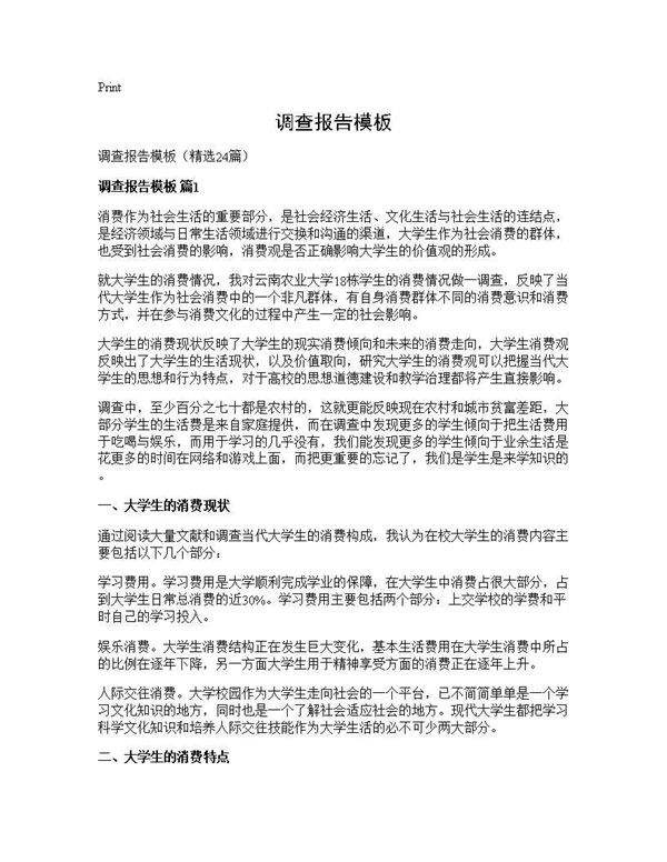 调查报告模板24篇