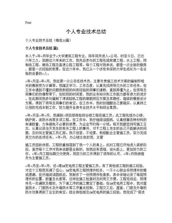 个人专业技术总结30篇