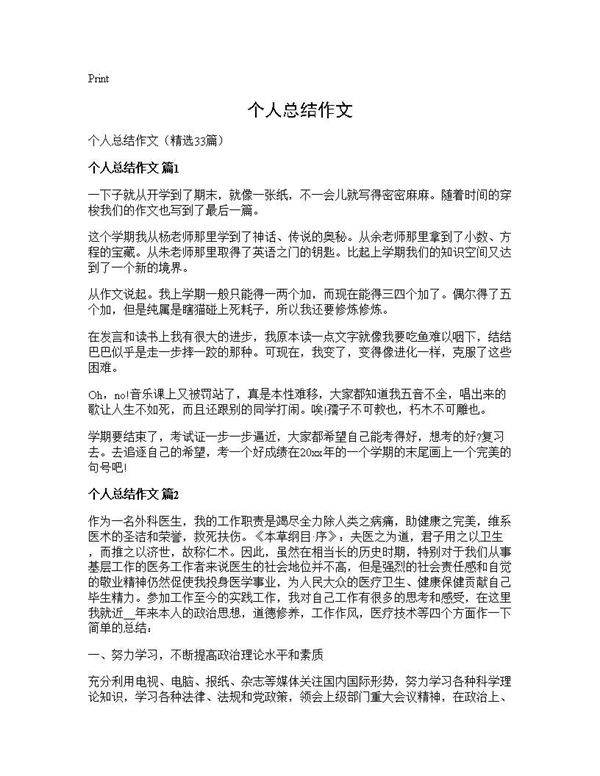 个人总结作文33篇
