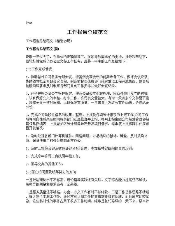 工作报告总结范文29篇