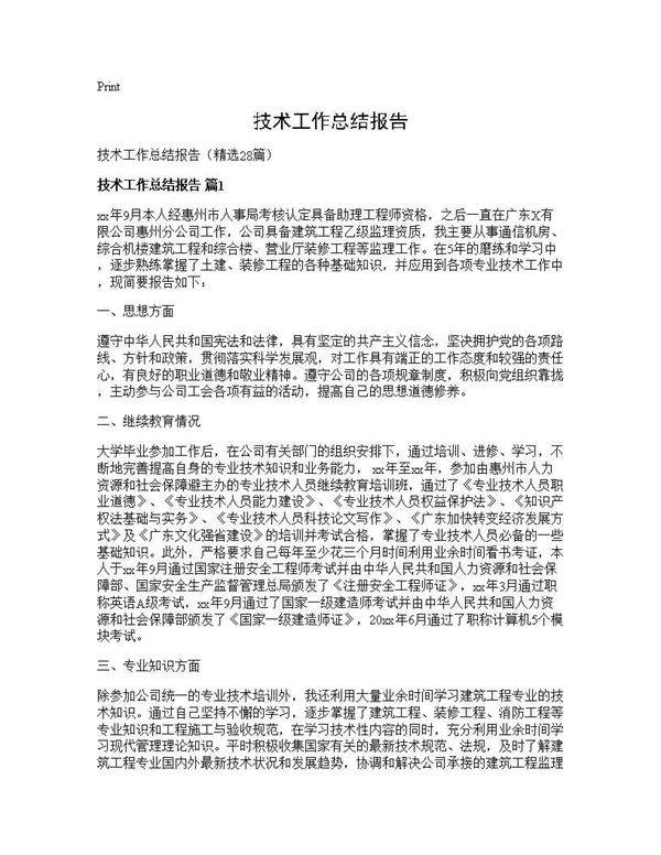 技术工作总结报告28篇