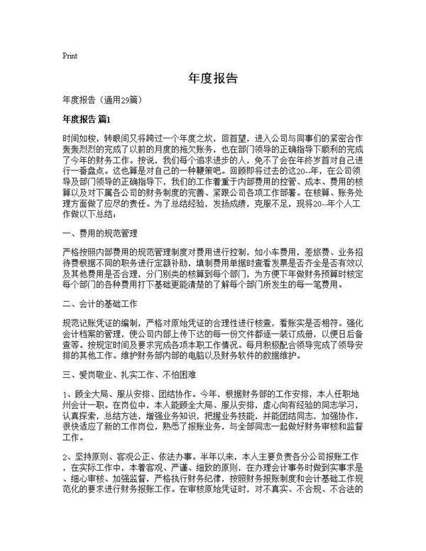 年度报告29篇