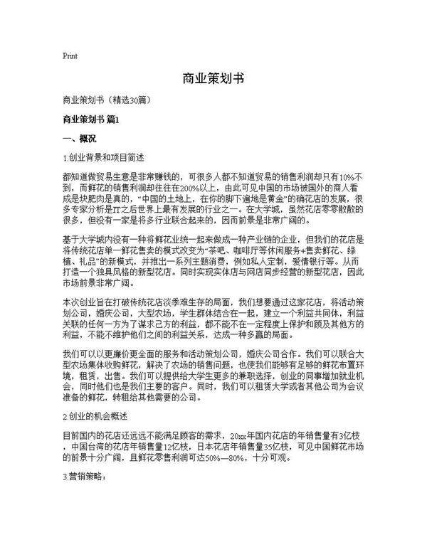 商业策划书30篇