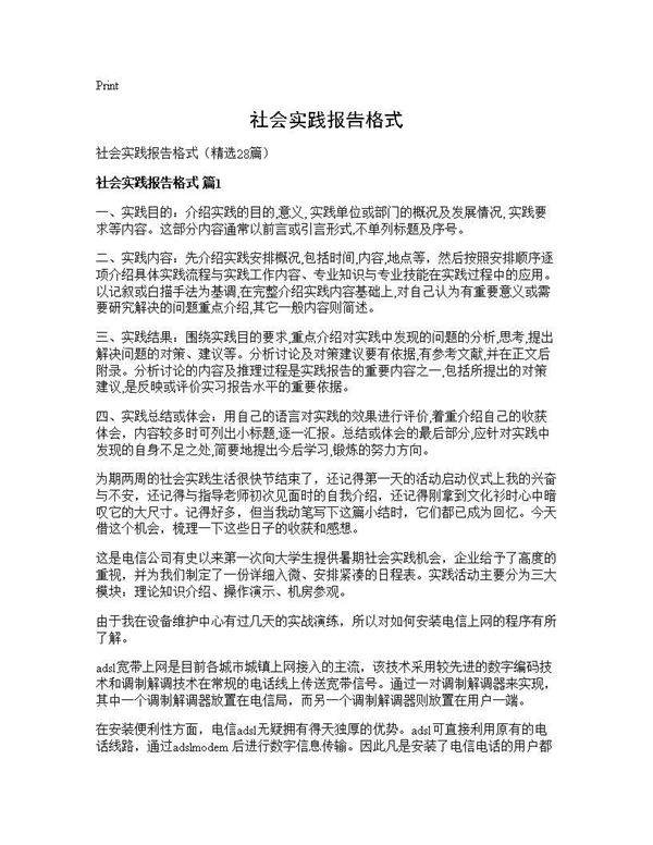 社会实践报告格式28篇