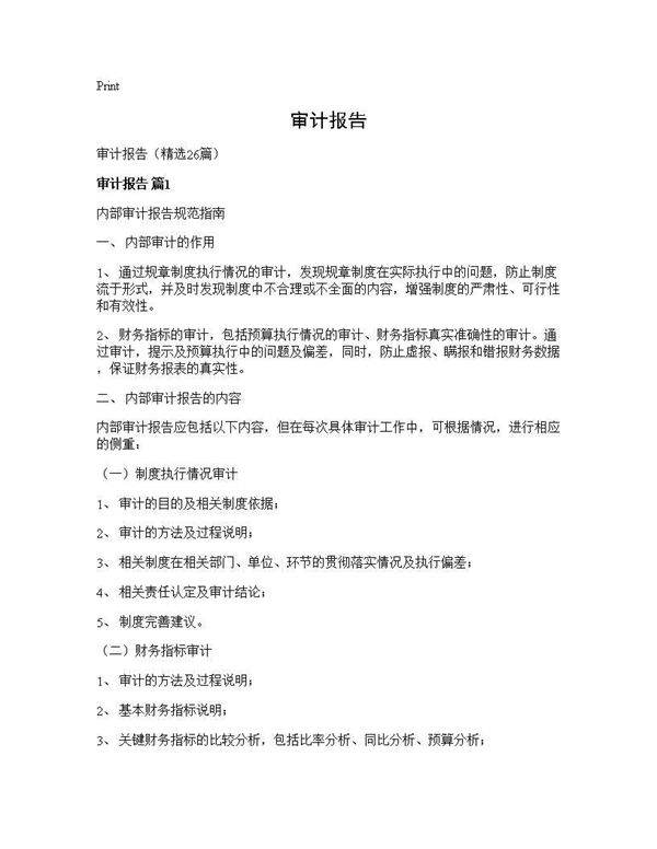 审计报告26篇