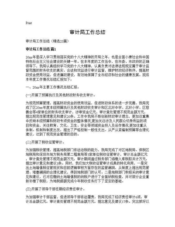 审计局工作总结23篇
