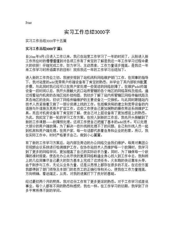 实习工作总结3000字