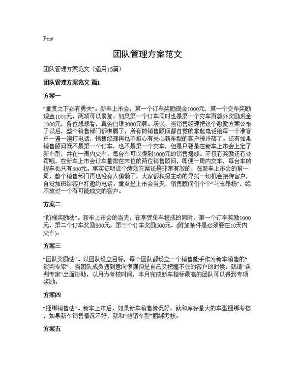 团队管理方案范文15篇