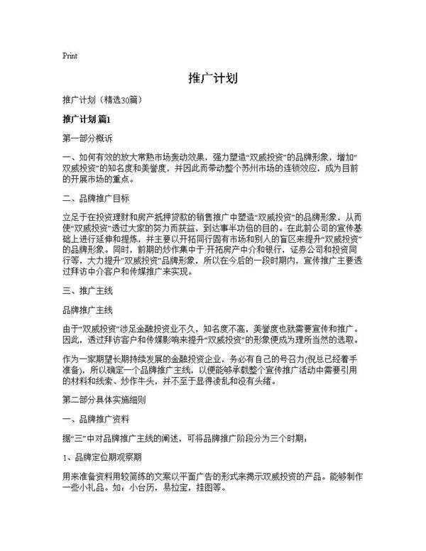 推广计划30篇