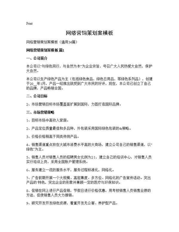 网络营销策划案模板34篇