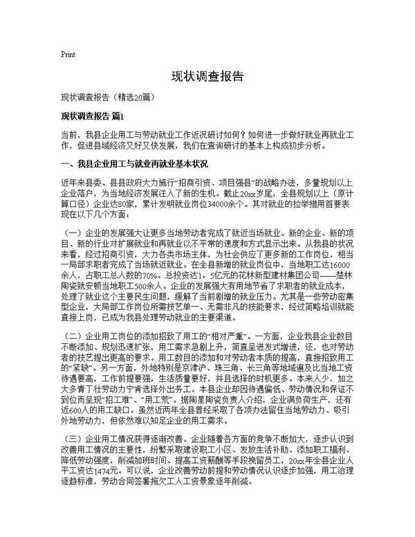 现状调查报告20篇