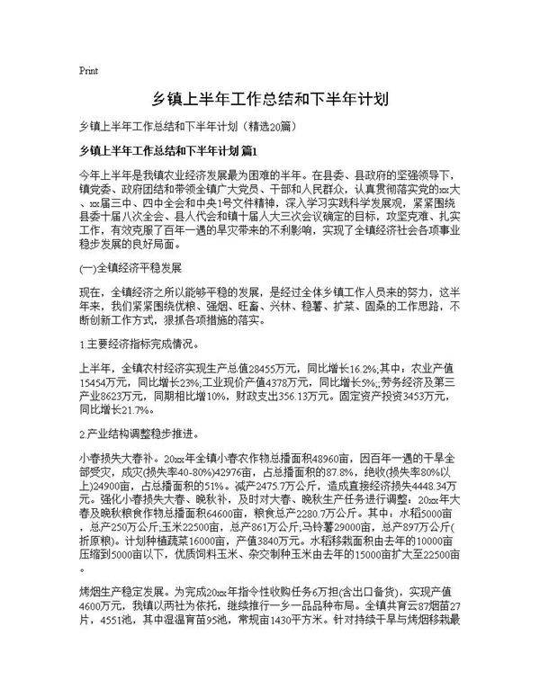 乡镇上半年工作总结和下半年计划20篇