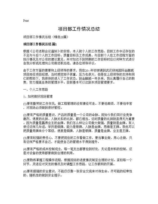 项目部工作情况总结28篇