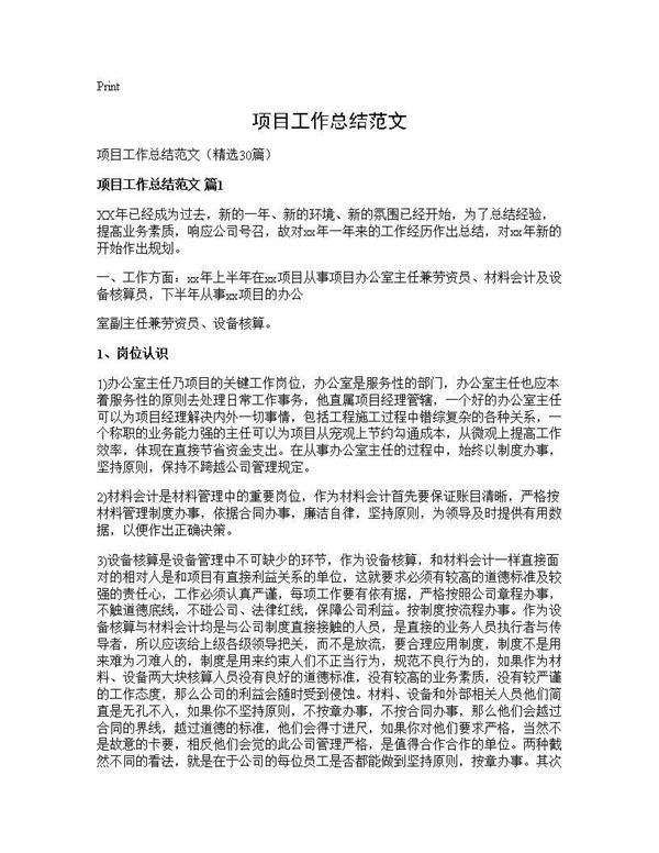 项目工作总结范文30篇