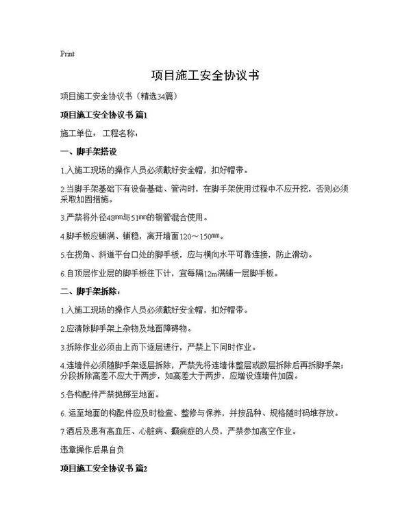 项目施工安全协议书34篇