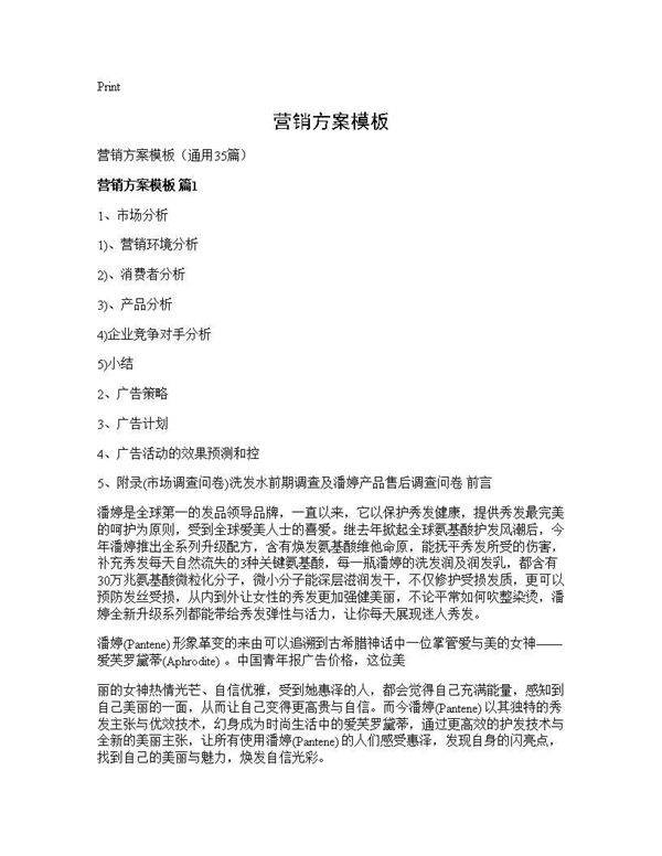营销方案模板35篇