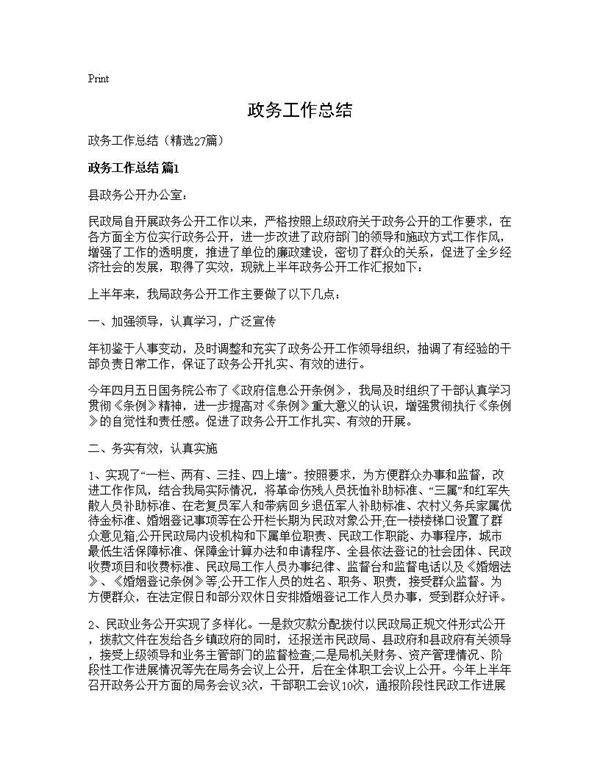 政务工作总结27篇