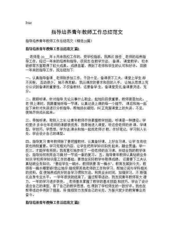 指导培养青年教师工作总结范文28篇
