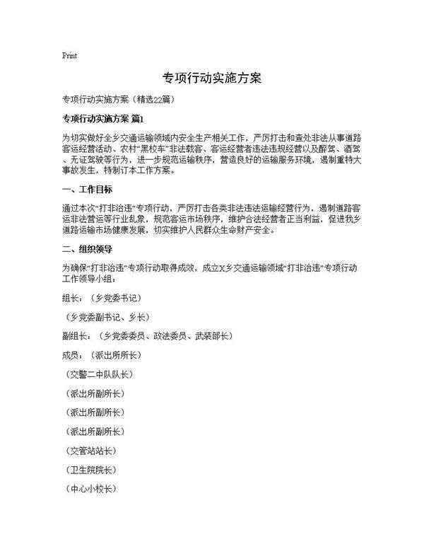 专项行动实施方案22篇