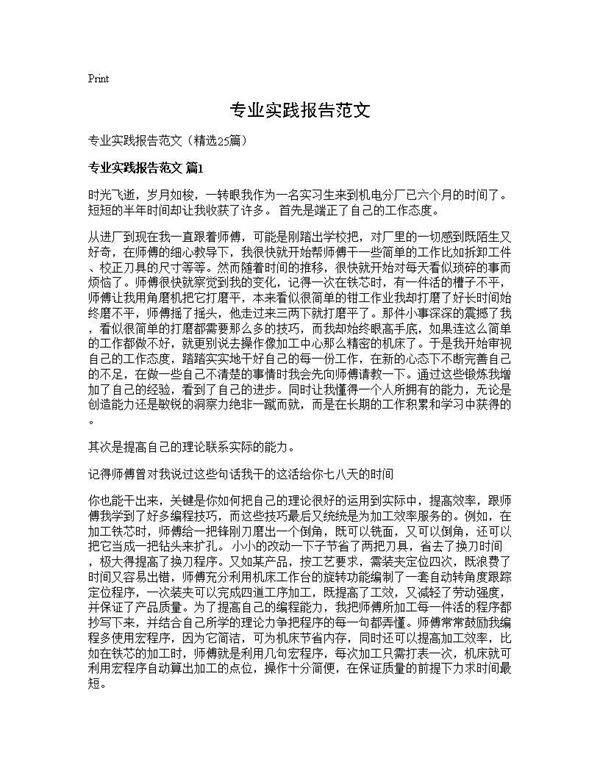 专业实践报告范文25篇