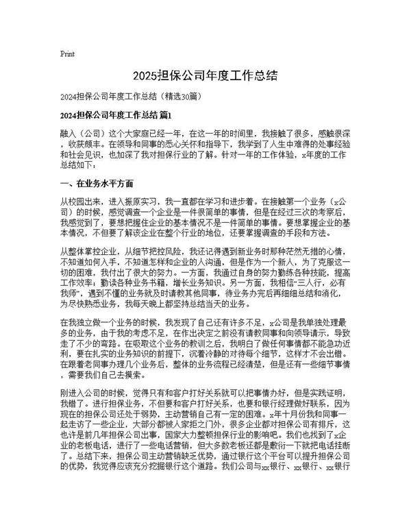 2024担保公司年度工作总结30篇