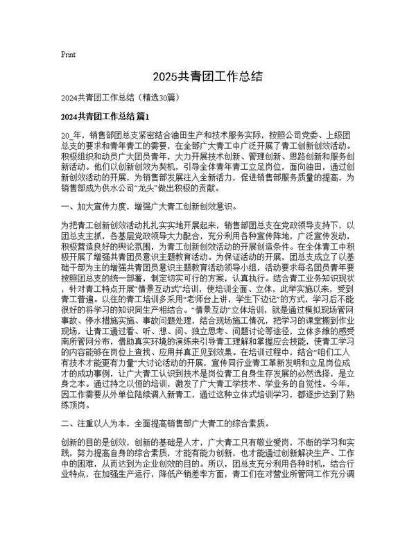 2024共青团工作总结30篇