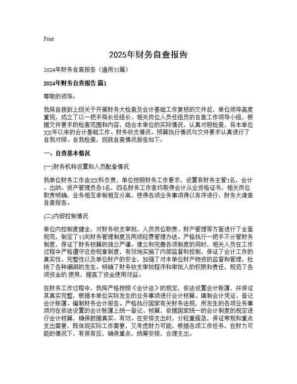 2024年财务自查报告31篇