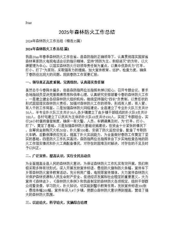 2024年森林防火工作总结35篇