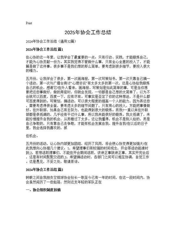 2024年协会工作总结32篇