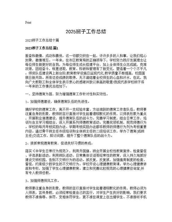 2025班子工作总结