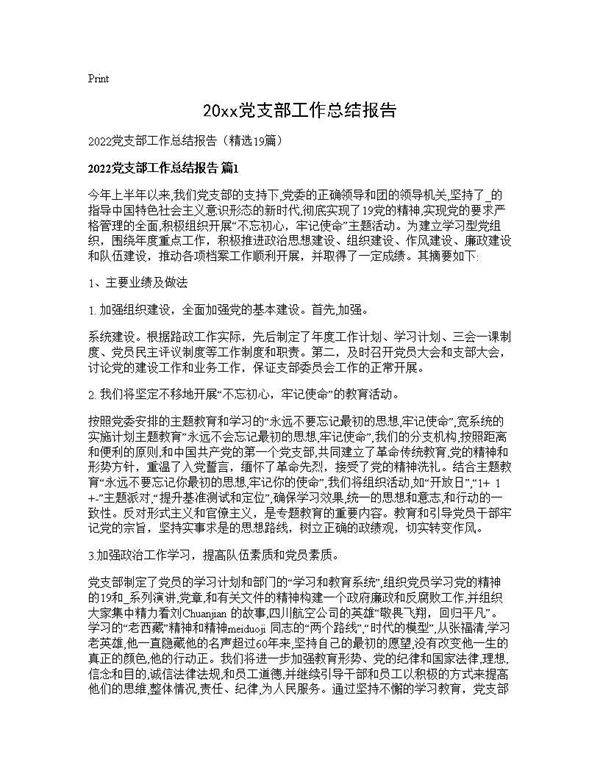 2025党支部工作总结报告19篇