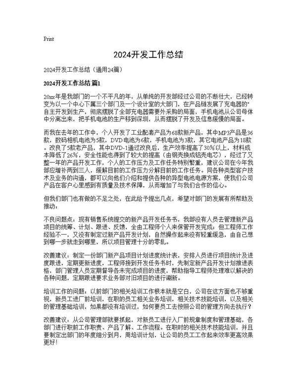 2025开发工作总结24篇